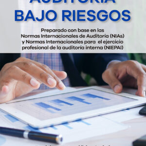 AUDITORIA BAJO RIESGOS