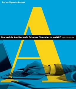 MANUAL DE AUDITORIA FINANCIERA CON NIIF